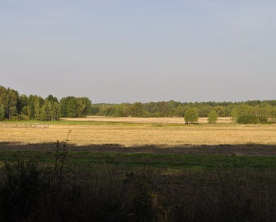 Skowronkowe Wzgórze